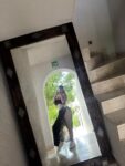 Çorlu Lüks Şehvetli Escort